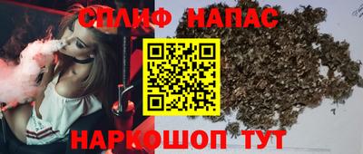Альфа ПВП Тверь